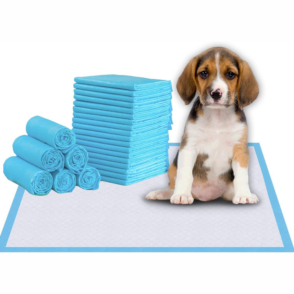Kit 12 pads absorbentes para mascotas antifugas