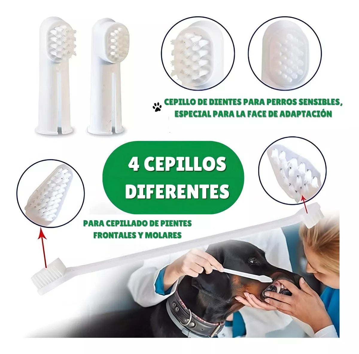 Set cuidado dental para perros sabor carne Bio Line