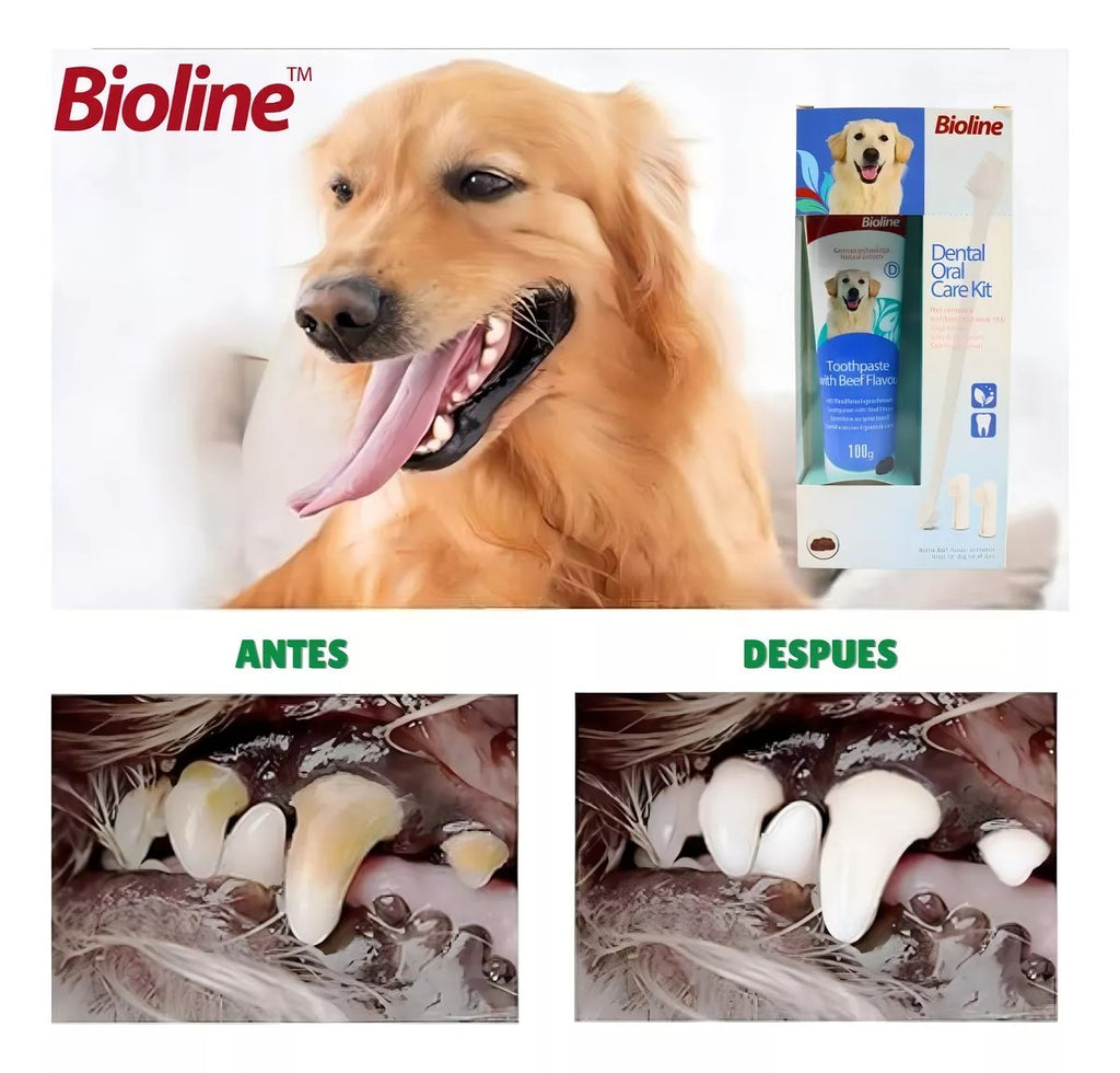 Set cuidado dental para perros sabor carne Bio Line