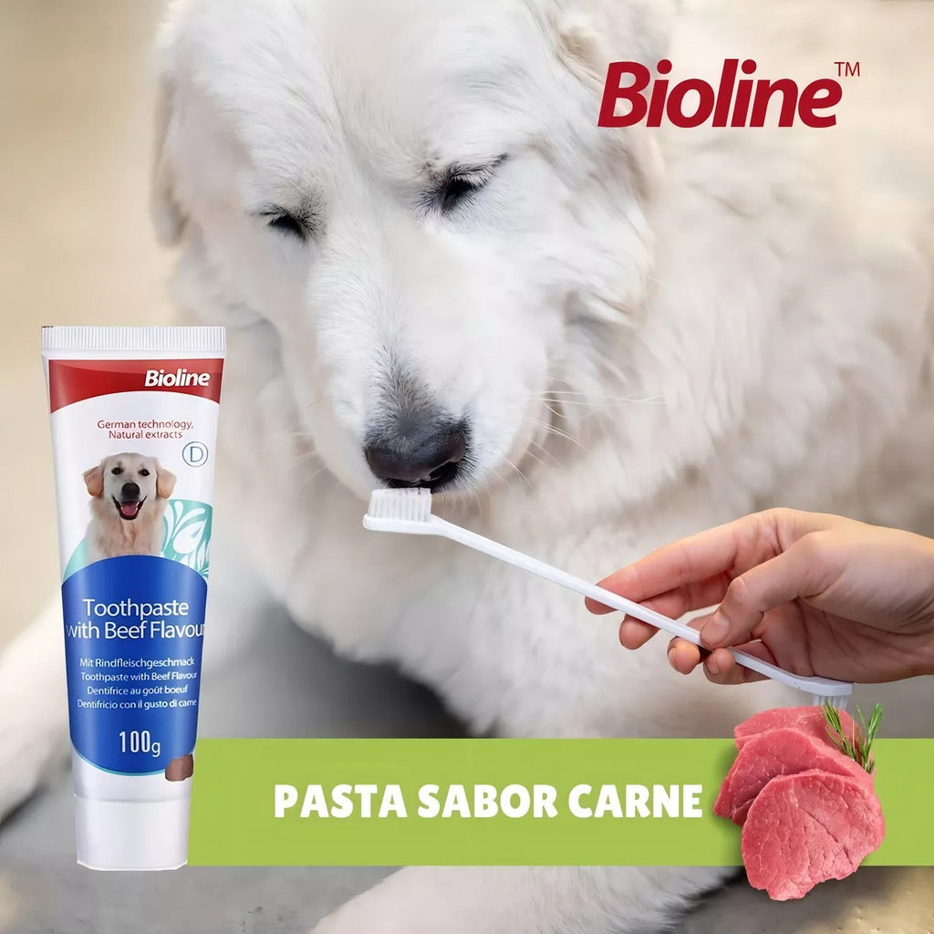 Set cuidado dental para perros sabor carne Bio Line