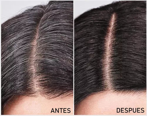 Shampoo Dexe — ingredientes orgánicos mora negra y ginseng