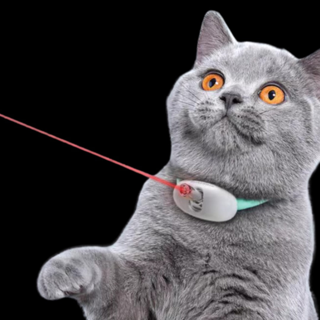 H - COLLAR CON LASER PARA MASCOTAS