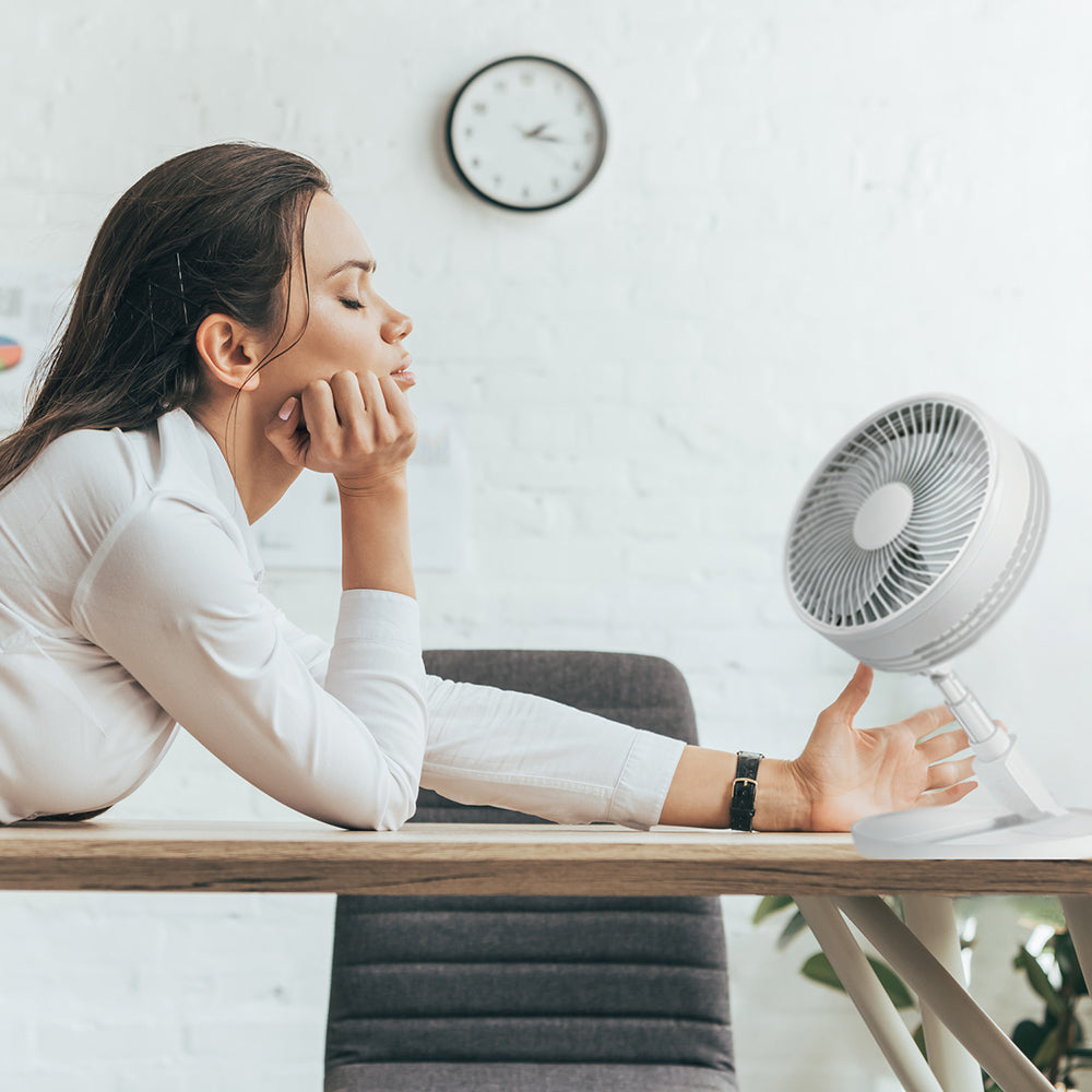 Polar Breeze Fan Ventilador Extensible