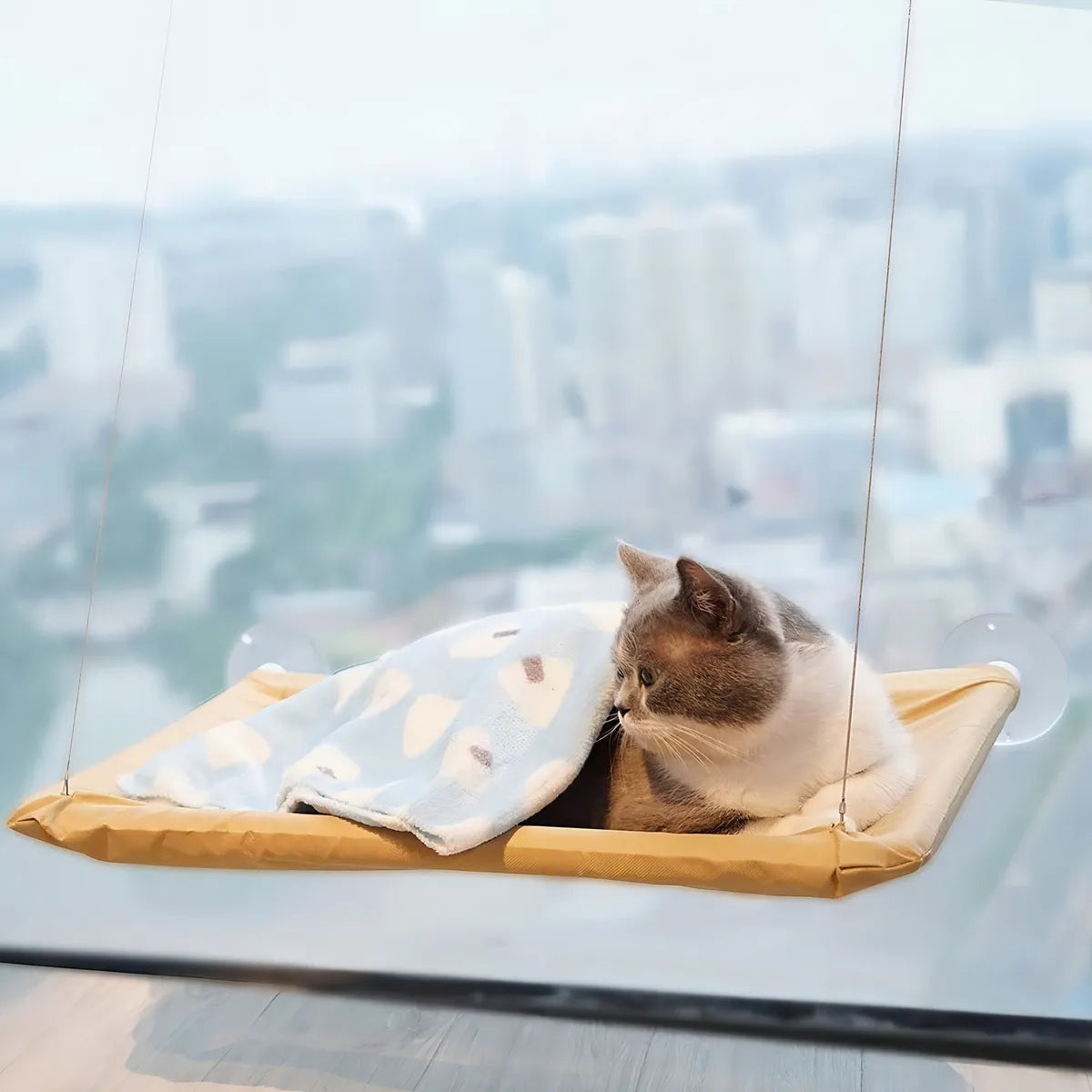 Cama colgante gato pared hamaca