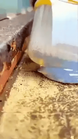 ellador impermeable transparente — antes y después