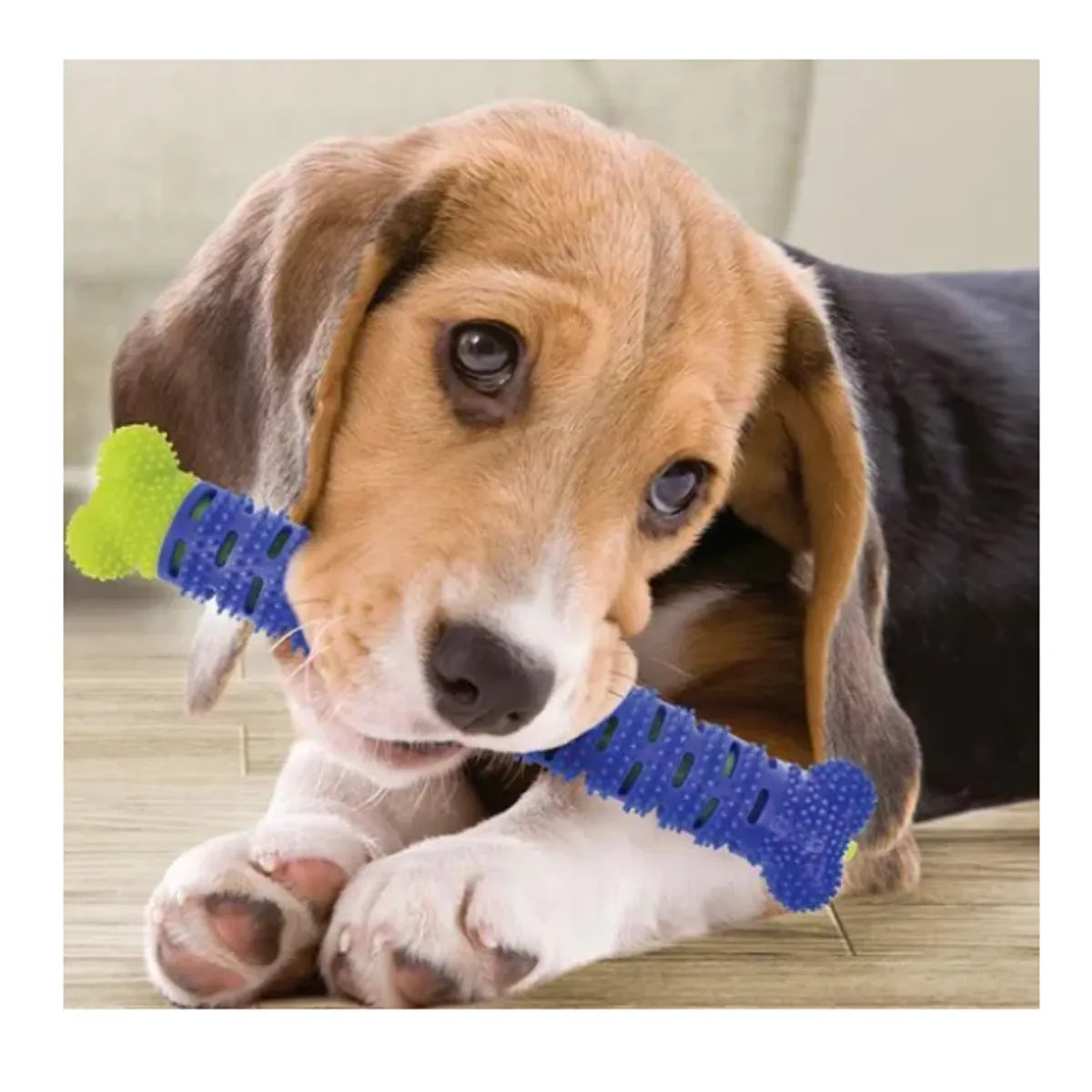 Juguete Limpiador De Placa Dental Perros